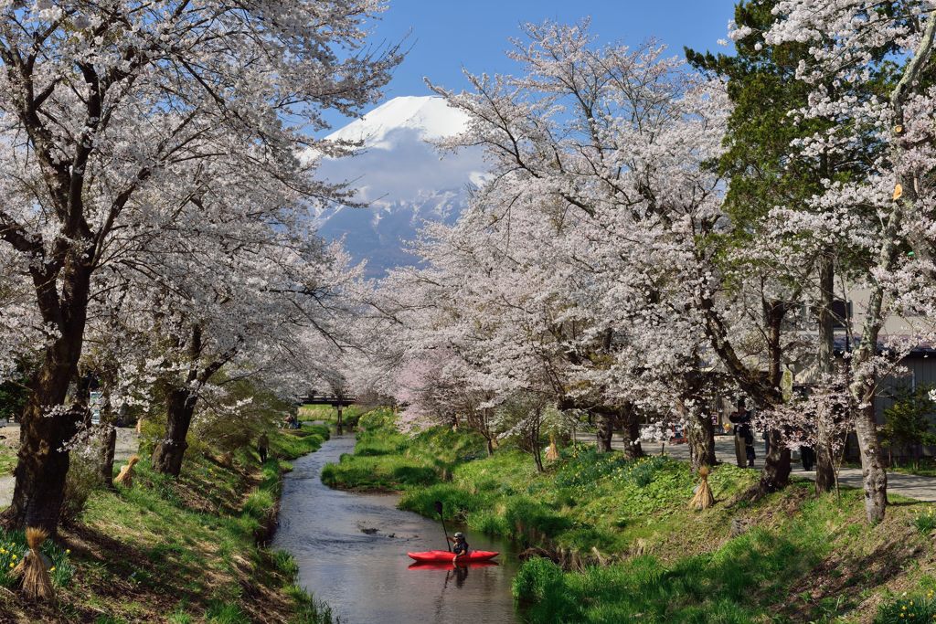 平日の富士山283