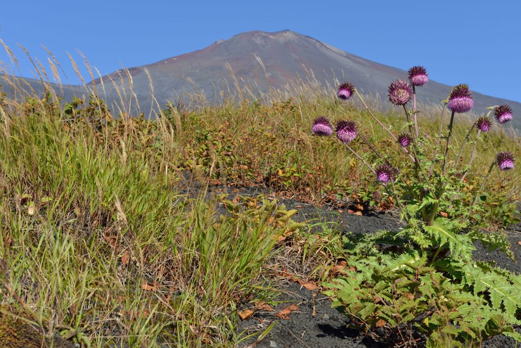 週末の富士山148
