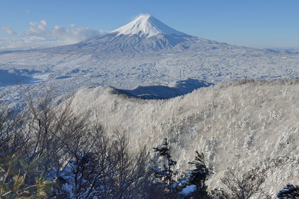 週末の富士山（新作1370）
