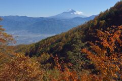平日の富士山840