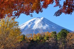 週末の富士山（新作677）