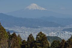 平日の富士山1054