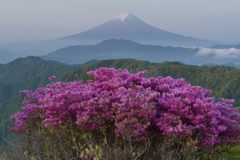 週末の富士山（新作899）