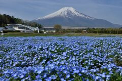週末の富士山30