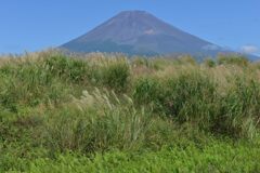週末の富士山155