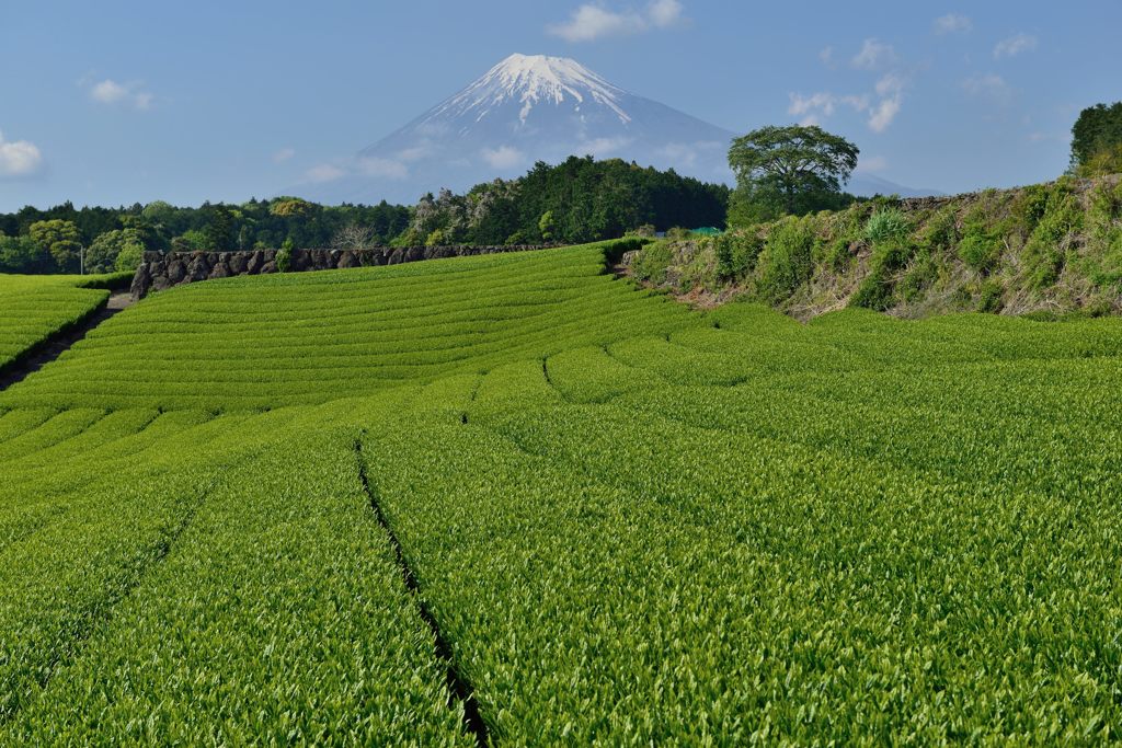 週末の富士山（新作840）