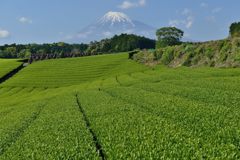 週末の富士山（新作840）