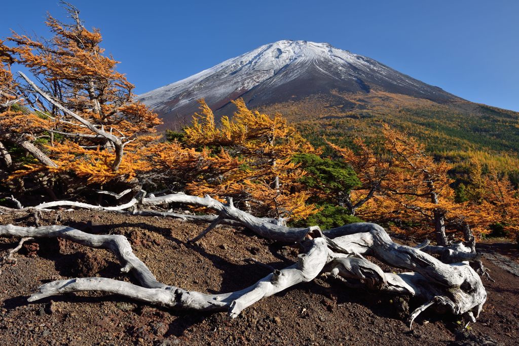 平日の富士山398