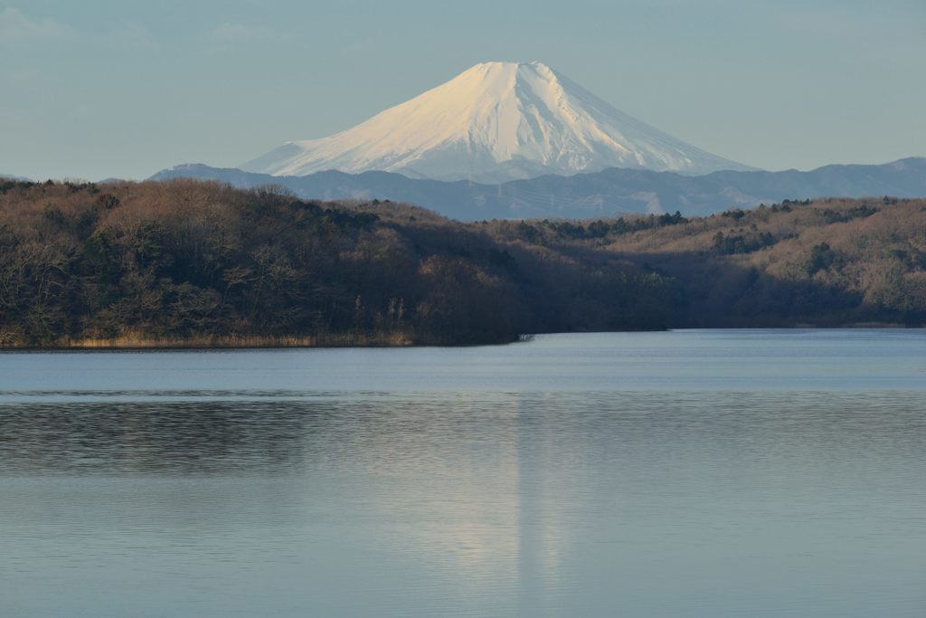 週末の富士山（新作536）