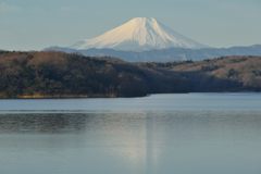 週末の富士山（新作536）