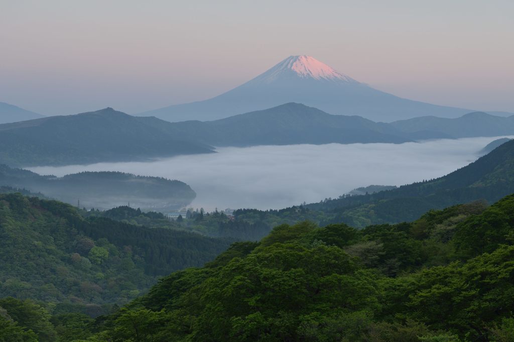 平日の富士山299