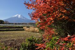 平日の富士山856