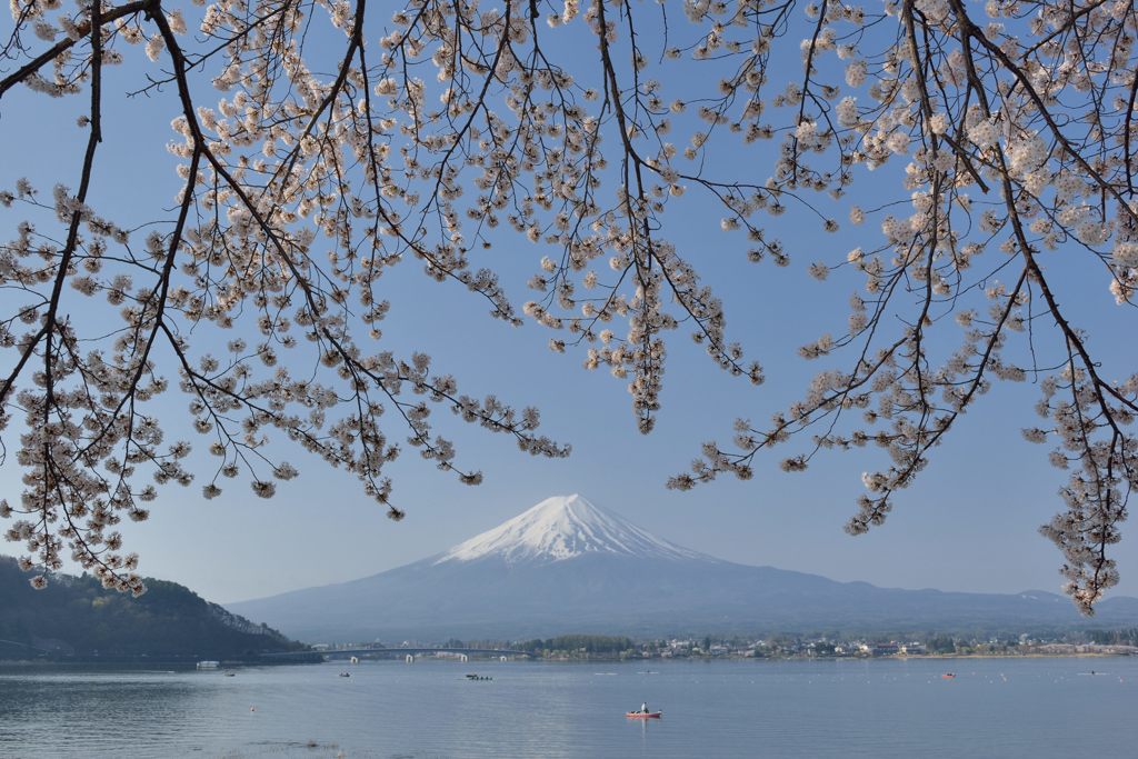 週末の富士山（新作439）