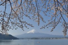 週末の富士山（新作439）