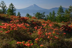 週末の富士山（新作６）