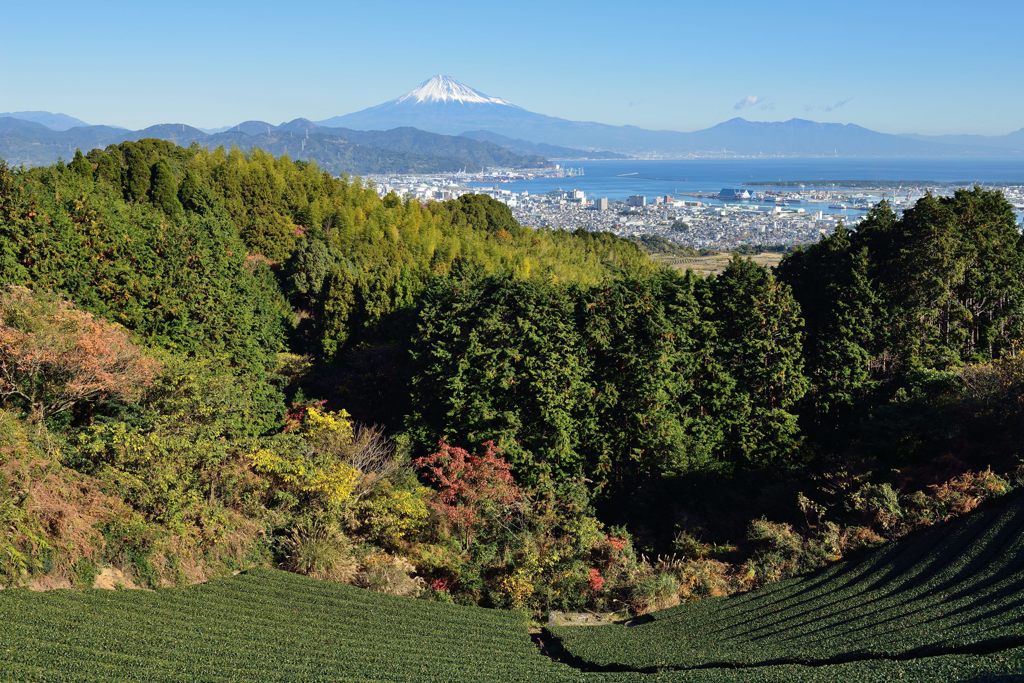 平日の富士山507
