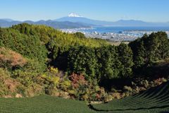平日の富士山507