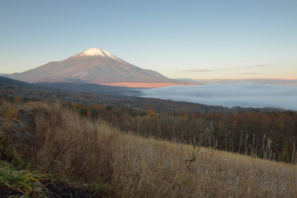 平日の富士山893