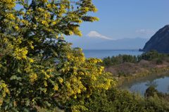 週末の富士山（新作430）