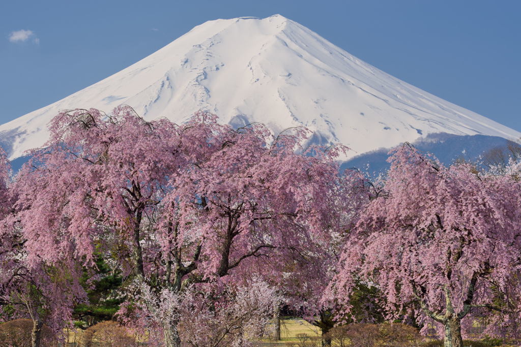 週末の富士山43