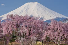 週末の富士山43