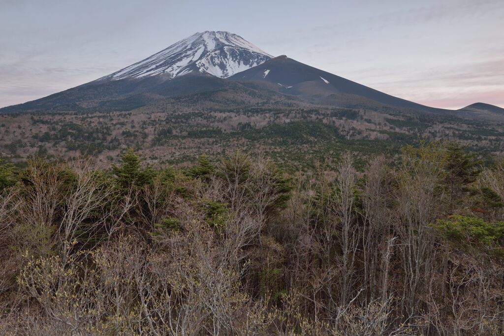 週末の富士山24