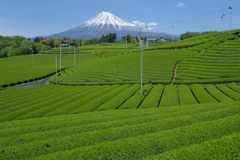 週末の富士山（新作1178）