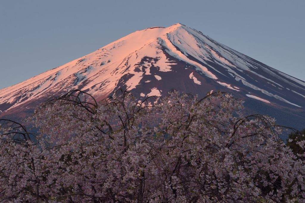 週末の富士山（新作441）