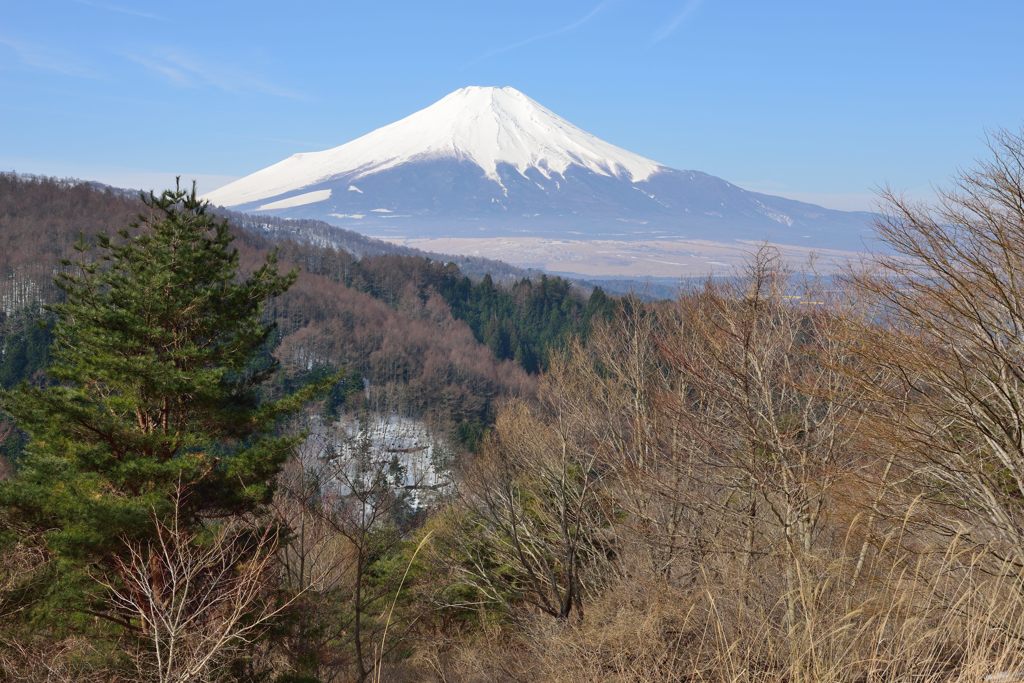 平日の富士山261