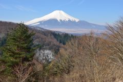 平日の富士山261