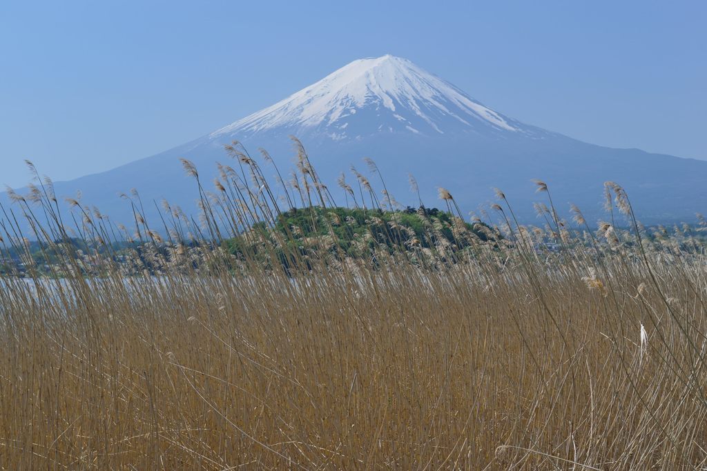 週末の富士山（新作848）