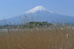 週末の富士山（新作848）