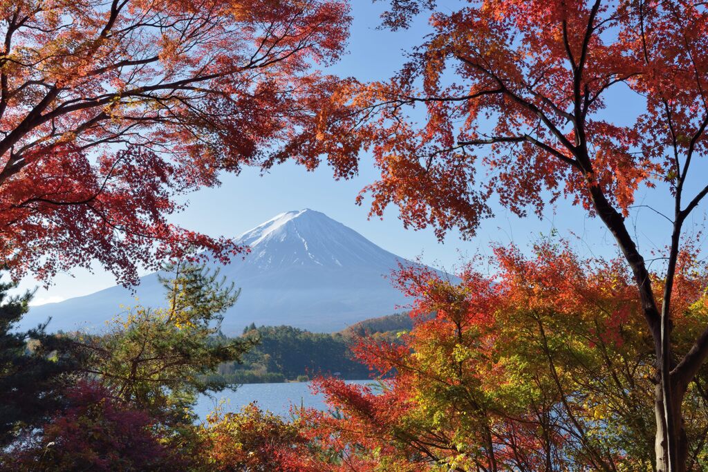 平日の富士山913