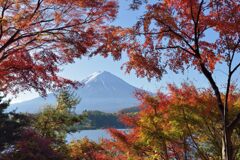 平日の富士山913