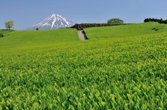 週末の富士山（新作211）