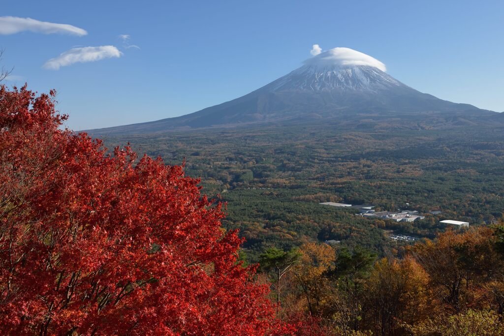 平日の富士山867