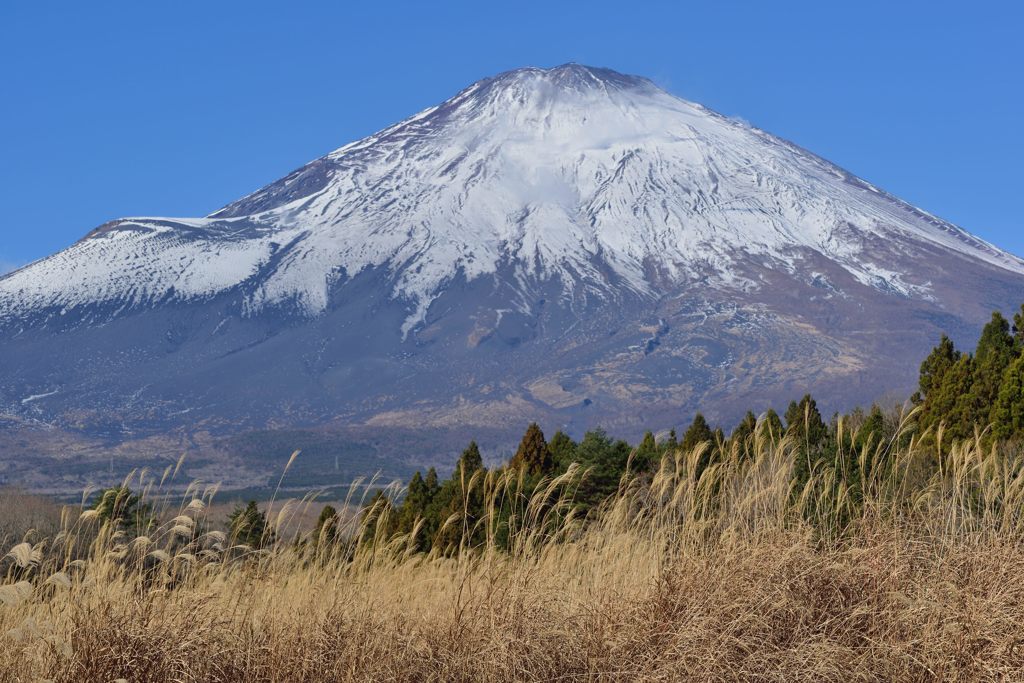 平日の富士山520