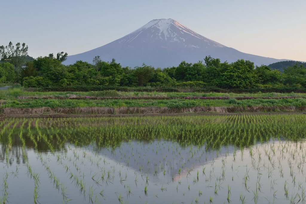 週末の富士山72