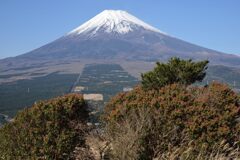 週末の富士山266