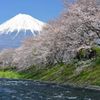 週末の富士山（新作189）