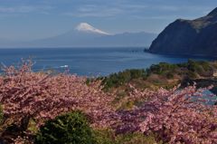 週末の富士山（新作425）