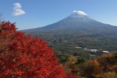 平日の富士山869