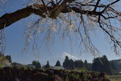 平日の富士山710