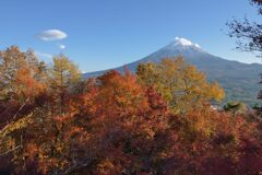 平日の富士山871
