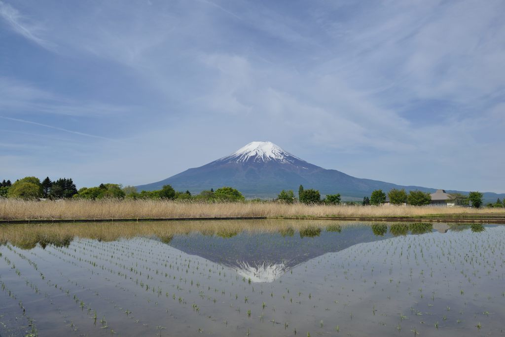 週末の富士山（新作888）