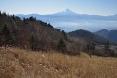 週末の富士山219