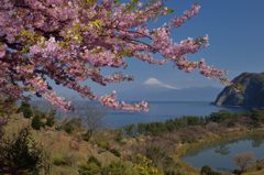 週末の富士山（新作431）