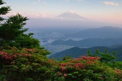 平日の富士山320