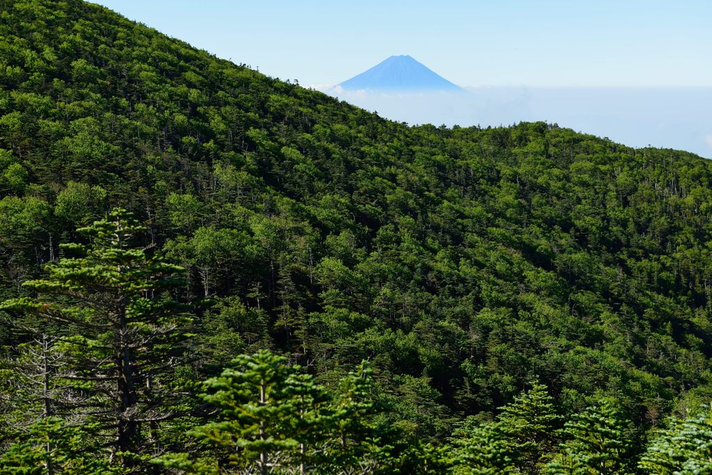 週末の富士山（新作936）