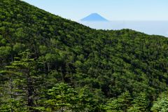 週末の富士山（新作936）